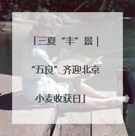 三夏“丰”景｜“五良”齐迎北京小麦收获日