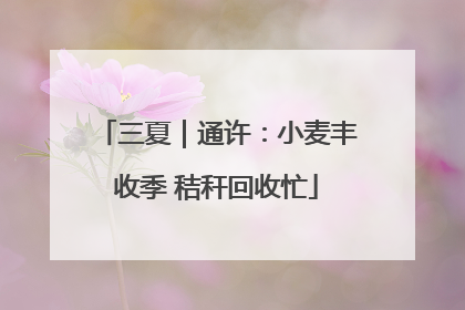 三夏｜通许：小麦丰收季 秸秆回收忙