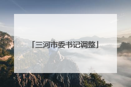 三河市委书记调整