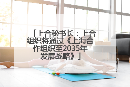 上合秘书长：上合组织将通过《上海合作组织至2035年发展战略》