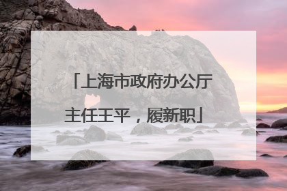 上海市政府办公厅主任王平，履新职