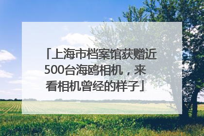 上海市档案馆获赠近500台海鸥相机，来看相机曾经的样子