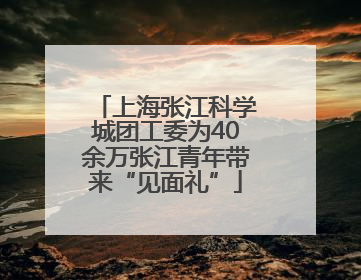 上海张江科学城团工委为40余万张江青年带来“见面礼”