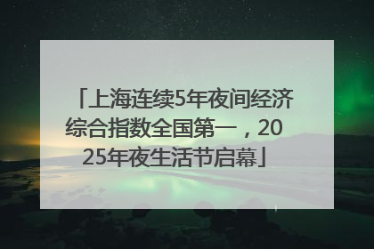 上海连续5年夜间经济综合指数全国第一，2025年夜生活节启幕