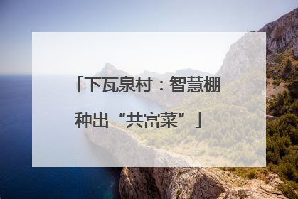 下瓦泉村：智慧棚种出“共富菜”