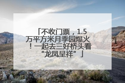 不收门票，1.5万平方米月季园爆火！一起去三好桥头看“龙凤呈祥”