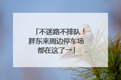 不迷路不排队！胖东来周边停车场都在这了→
