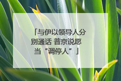 与伊以领导人分别通话 普京说愿当“调停人”