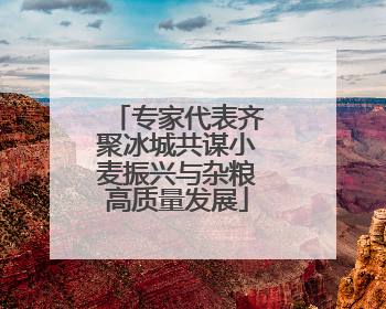 专家代表齐聚冰城共谋小麦振兴与杂粮高质量发展