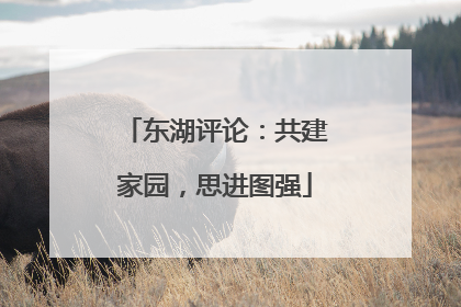 东湖评论：共建家园，思进图强