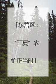 东营区：“三夏”农忙正当时