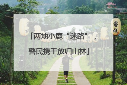两地小鹿“迷路”，警民携手放归山林