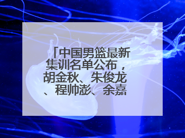 中国男篮最新集训名单公布，胡金秋、朱俊龙、程帅澎、余嘉豪再次入选