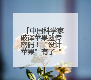 中国科学家破译苹果遗传密码！“设计苹果”有了“法宝”