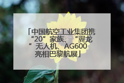 中国航空工业集团携“20”家族、“翼龙”无人机、AG600亮相巴黎航展