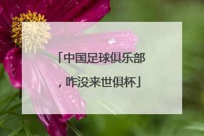 中国足球俱乐部，咋没来世俱杯