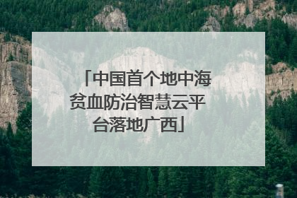 中国首个地中海贫血防治智慧云平台落地广西