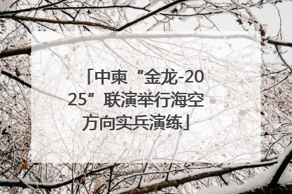 中柬“金龙-2025”联演举行海空方向实兵演练