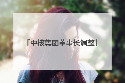 中核集团董事长调整
