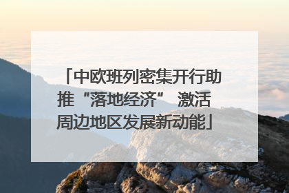 中欧班列密集开行助推“落地经济” 激活周边地区发展新动能