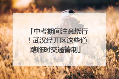 中考期间注意绕行！武汉经开区这些道路临时交通管制