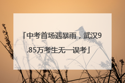 中考首场遇暴雨，武汉9.85万考生无一误考