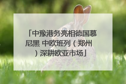中豫港务亮相德国慕尼黑 中欧班列（郑州）深耕欧亚市场