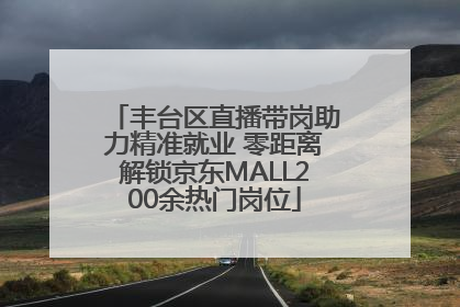 丰台区直播带岗助力精准就业 零距离解锁京东MALL200余热门岗位