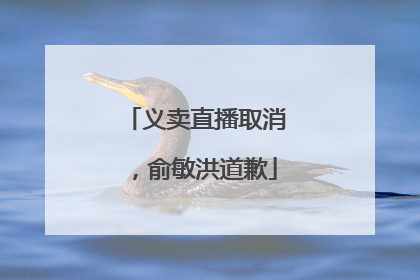 义卖直播取消，俞敏洪道歉