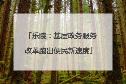 乐陵：基层政务服务改革跑出便民新速度