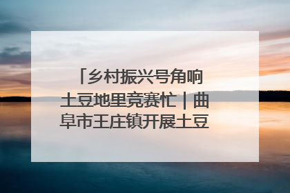 乡村振兴号角响 土豆地里竞赛忙｜曲阜市王庄镇开展土豆收获劳动竞赛
