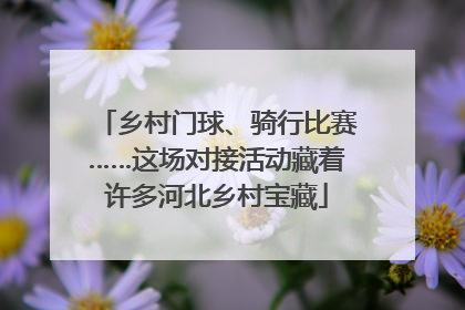 乡村门球、骑行比赛……这场对接活动藏着许多河北乡村宝藏