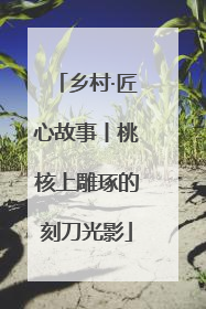 乡村·匠心故事丨桃核上雕琢的刻刀光影