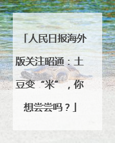 人民日报海外版关注昭通：土豆变“米”，你想尝尝吗？