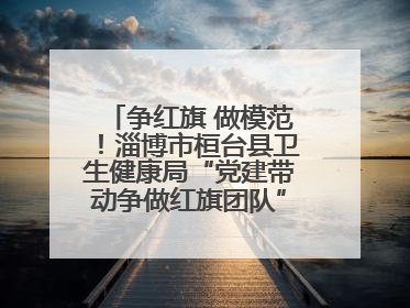 争红旗 做模范！淄博市桓台县卫生健康局“党建带动争做红旗团队”表扬仪式举行