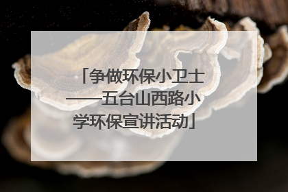 争做环保小卫士——五台山西路小学环保宣讲活动