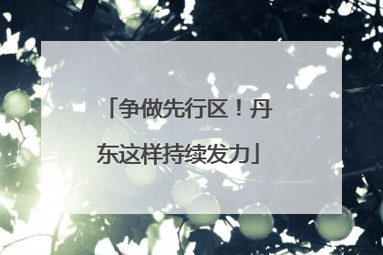 争做先行区！丹东这样持续发力
