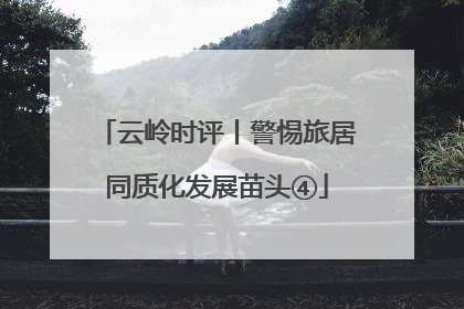 云岭时评丨警惕旅居同质化发展苗头④