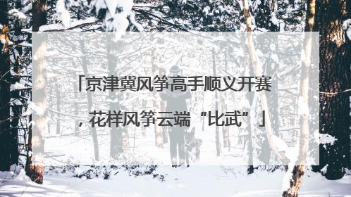京津冀风筝高手顺义开赛，花样风筝云端“比武”