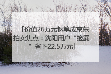 价值26万元钢笔成京东拍卖焦点：沈阳用户“捡漏”省下22.5万元