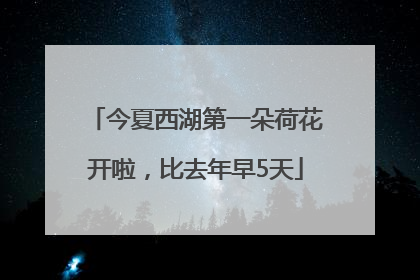 今夏西湖第一朵荷花开啦，比去年早5天