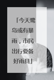 今天鹭岛或有暴雨，市民出行要备好雨具