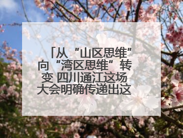 从“山区思维”向“湾区思维”转变 四川通江这场大会明确传递出这些信号
