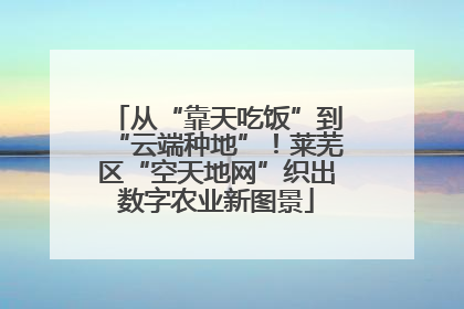 从“靠天吃饭”到“云端种地”！莱芜区“空天地网”织出数字农业新图景
