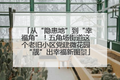 从“隐患地”到“幸福角”！五角场街道这个老旧小区党建微花园“靓”出幸福新图景