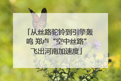 从丝路驼铃到引擎轰鸣 郑卢“空中丝路”飞出河南加速度