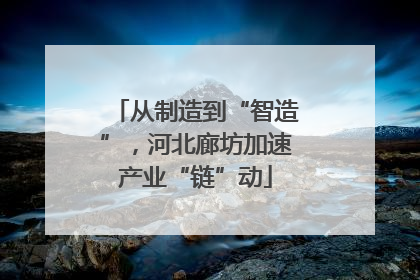 从制造到“智造”，河北廊坊加速产业“链”动