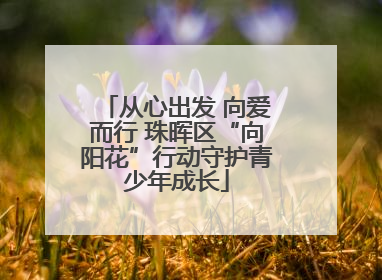 从心出发 向爱而行 珠晖区“向阳花”行动守护青少年成长