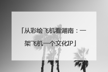 从彩绘飞机看湖南：一架飞机一个文化IP