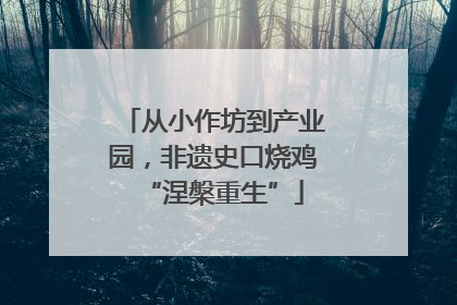 从小作坊到产业园，非遗史口烧鸡“涅槃重生”
